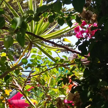 A Pie De Playa Con Jardin Privado