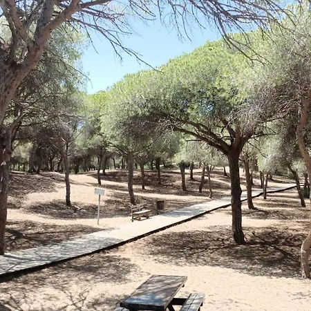 Apartment A Pie De Playa Con Jardin Privado